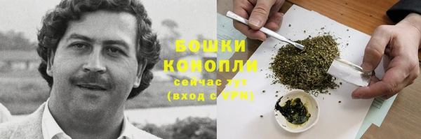 круглые Белокуриха