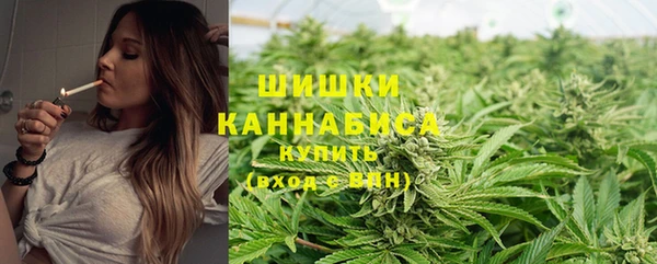 круглые Белокуриха