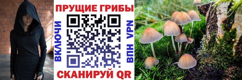 Псилоцибиновые грибы GOLDEN TEACHER  наркошоп  Новоалтайск 